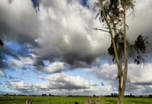 开云官网-湖人队重返总决赛之路任重道远